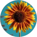 Home Jasleen Kaur profile picture